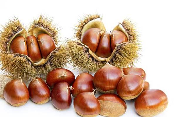 刘二贡栗糖炒板栗